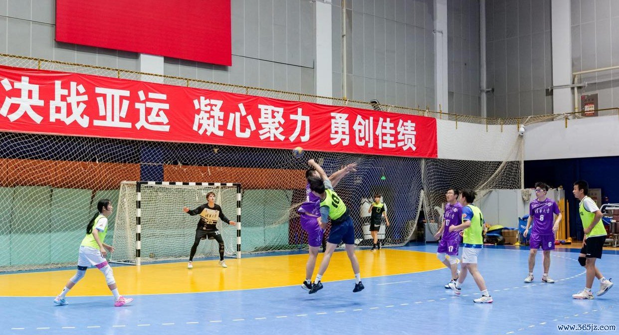 众人体验手球领略。 活动主理方供图